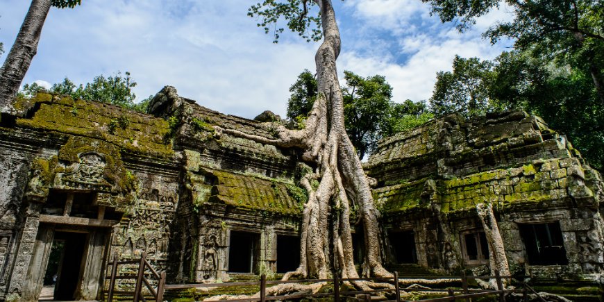 Ta Prohm temple