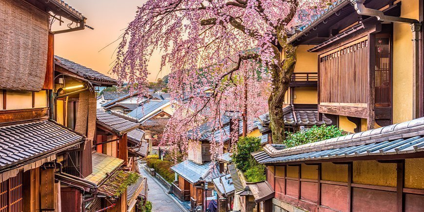 Cherry blossom in the Higashiyama district of Kyoto