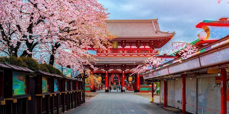 Sakura at the Sensoji-ji temple in Tokyo