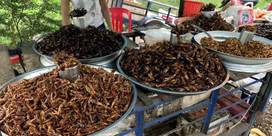 Food Cambodia