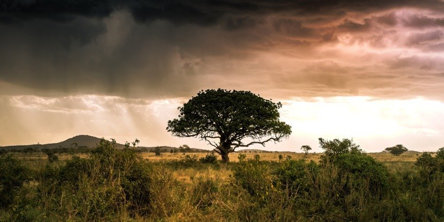 Dramatic sky with rain over Serengeti, Tanzania