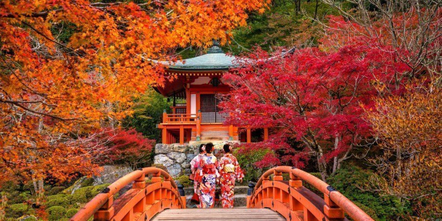 Young women wearing traditional Japanese Yukata at Daigo-ji Temple in autumn 