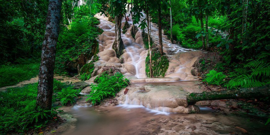 Bua Tong Sticky Waterfall in Chiang Mai