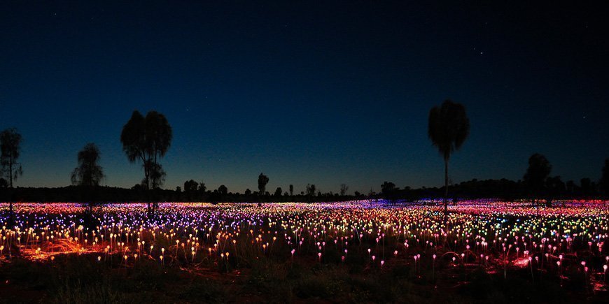 Field of Light at Uluru in Australia