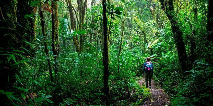 Girl walking through Monteverde Cloud Forest in Costa Rica