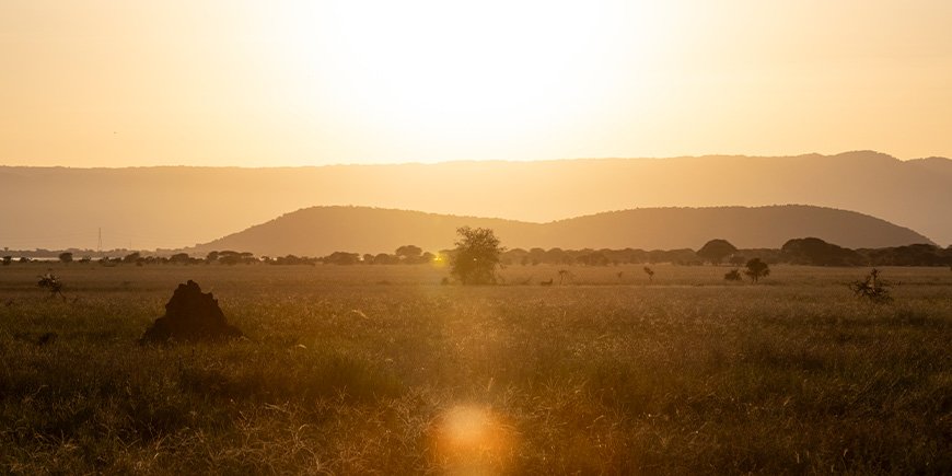 Sunset in Tarangire National Park in Tanzania