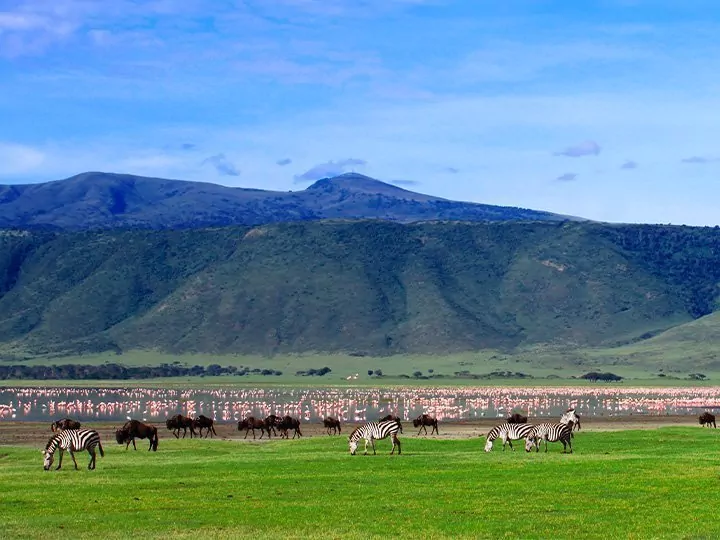 Discover the Ngorongoro Crater