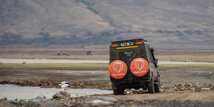 TourCompass jeep in the Ngorongoro crater in Tanzania