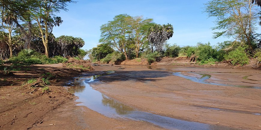 Tsavo west in March