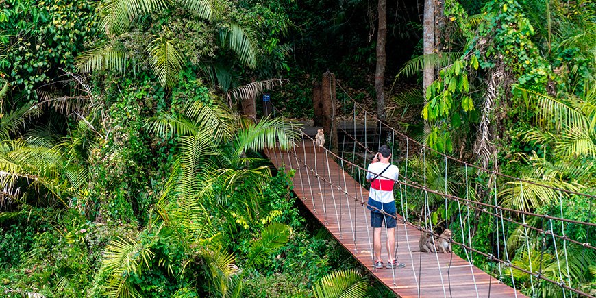 Man on bridge in Khao Yai National Park