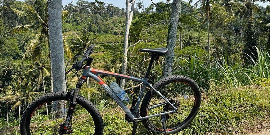 Mountain biking in beautiful surroundings