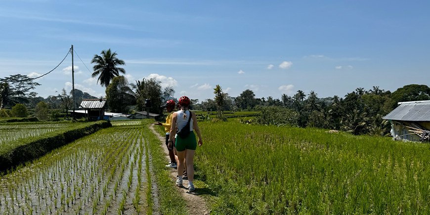 Walking in rice fields in Bali