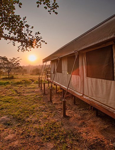 Nkambeni Tented Camp, South Africa