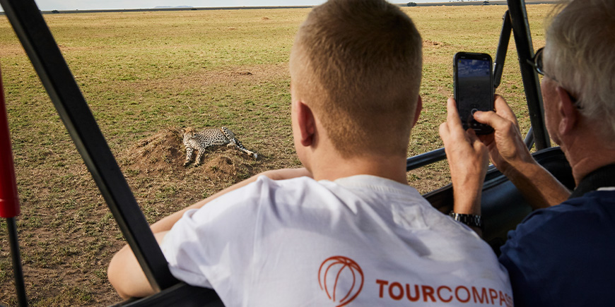 Two men look at cheetah lying on the savannah on the Serengeti