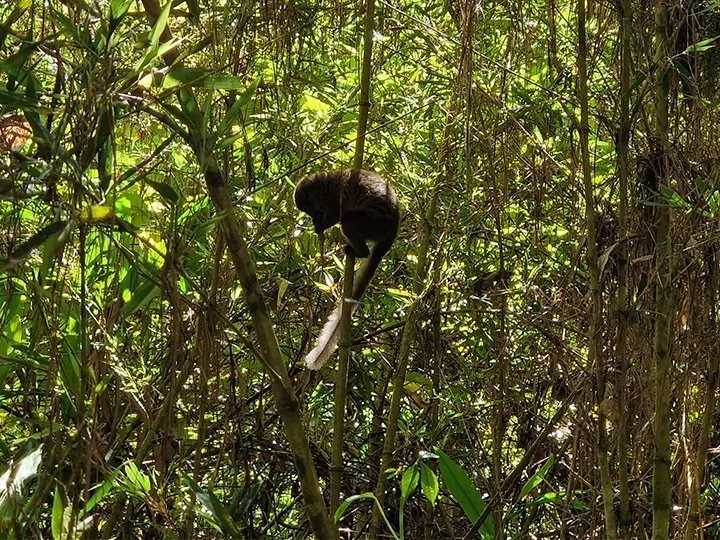 V.O.I.M.M.A Reserve, Madagascar