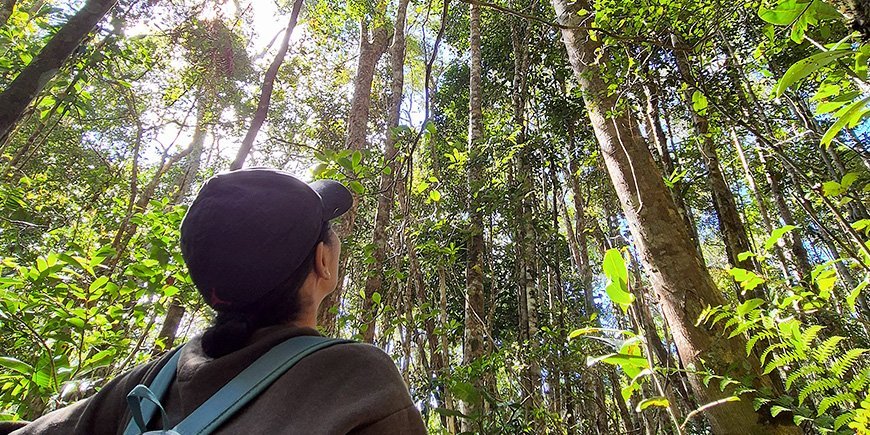 Woman looks for lemurs in the trees in Madagascar